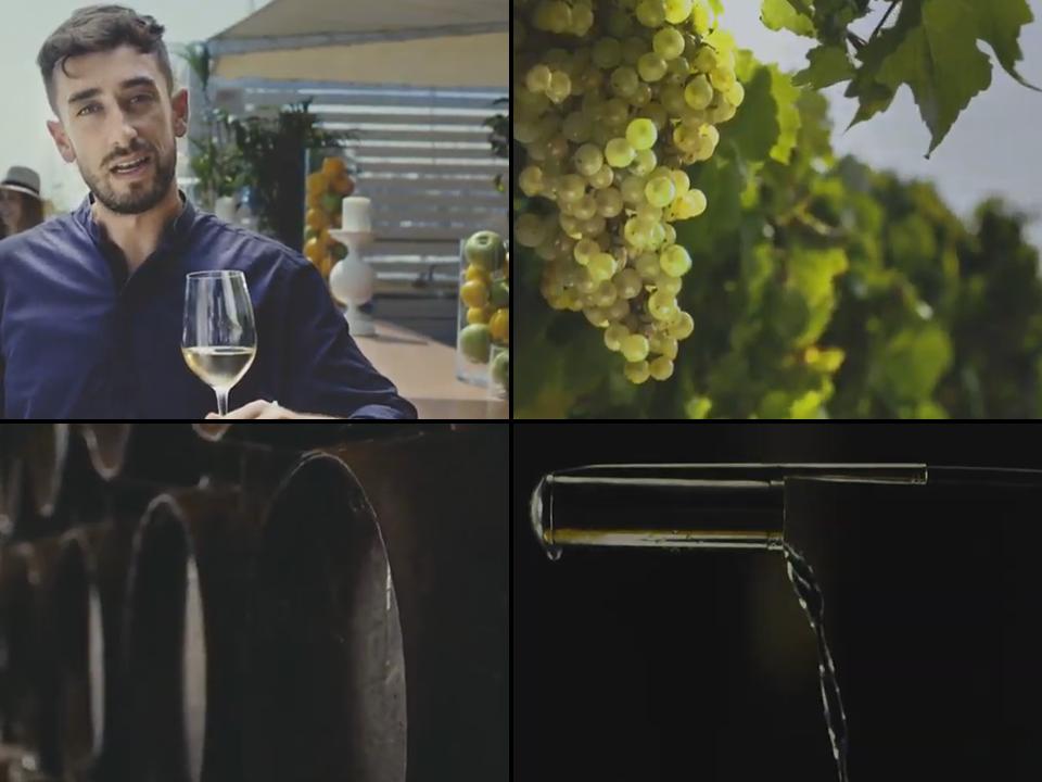 V�deo promocional vinos de Jerez y manzanilla
